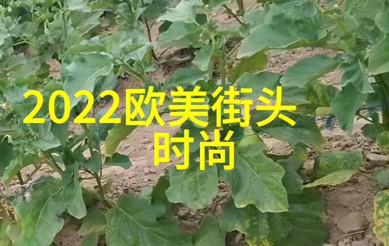 世界小姐瑰丽璀璨之夜广东总决赛颠覆以往赛制重塑选美高光